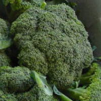 �����������������C���[�W