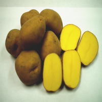 �����������������C���[�W