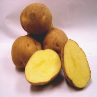 �����������������C���[�W