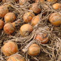 �����������������C���[�W