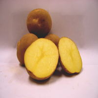 �����������������C���[�W